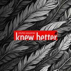 STUPID GOLDFISH - KNEW BETTER